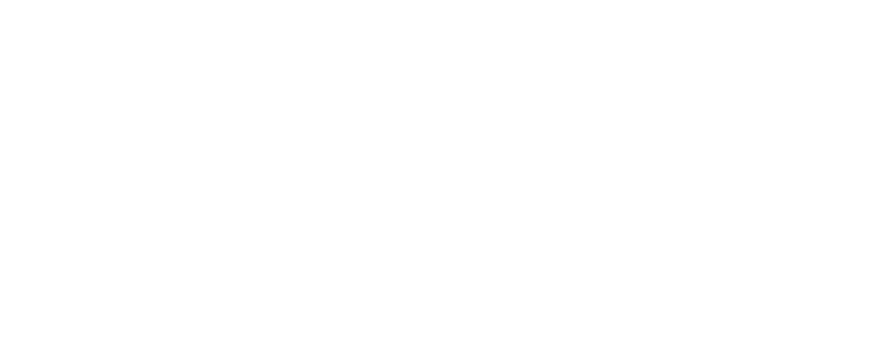 Hub City Animal Project